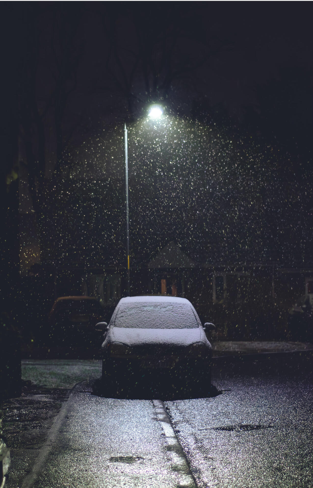 Untitled Untitled